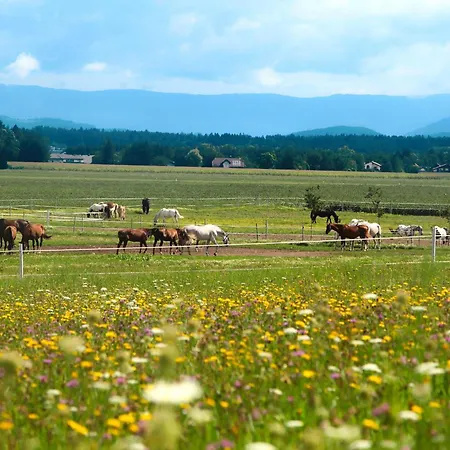 Sauerschnig Lejlighed Unterburg am Klopeiner See