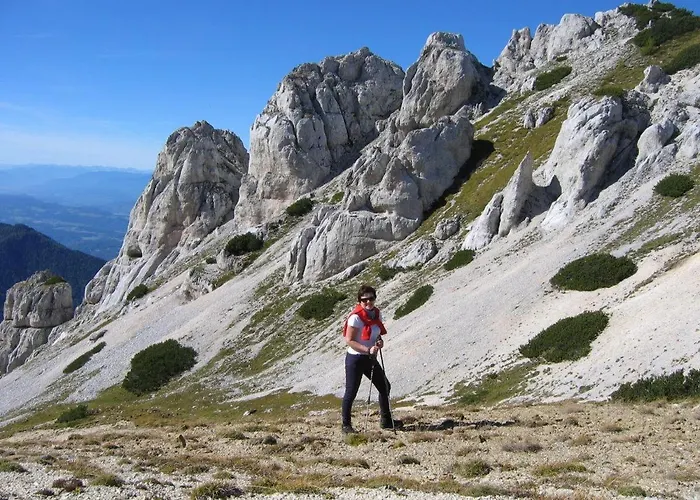 Sauerschnig אונטרבורג אם קלופינר סי