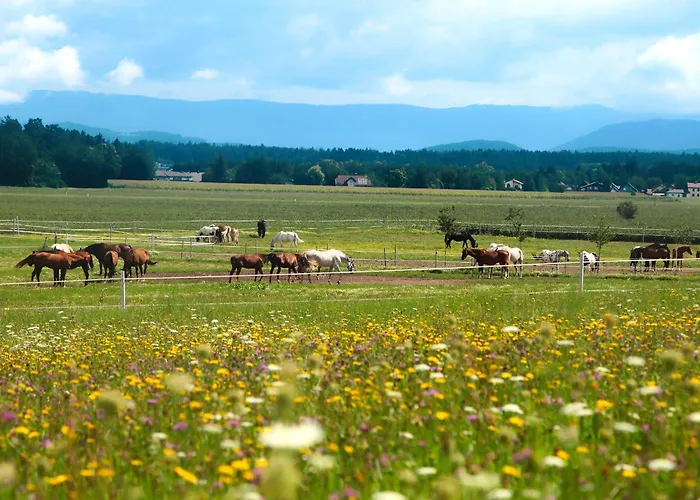 Sauerschnig شقة Unterburg am Klopeiner See